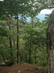 Wooded land for sale near Lexington, Virginia