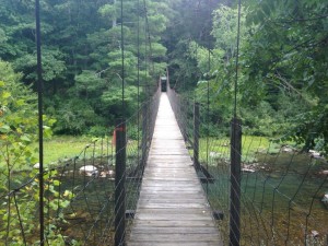 Swinging bridge in Goshen, Virginia