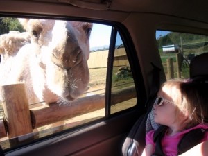 Lexington, VA family-friendly activities