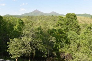 Newest real estate listings in Lexington VA and surrounding areas